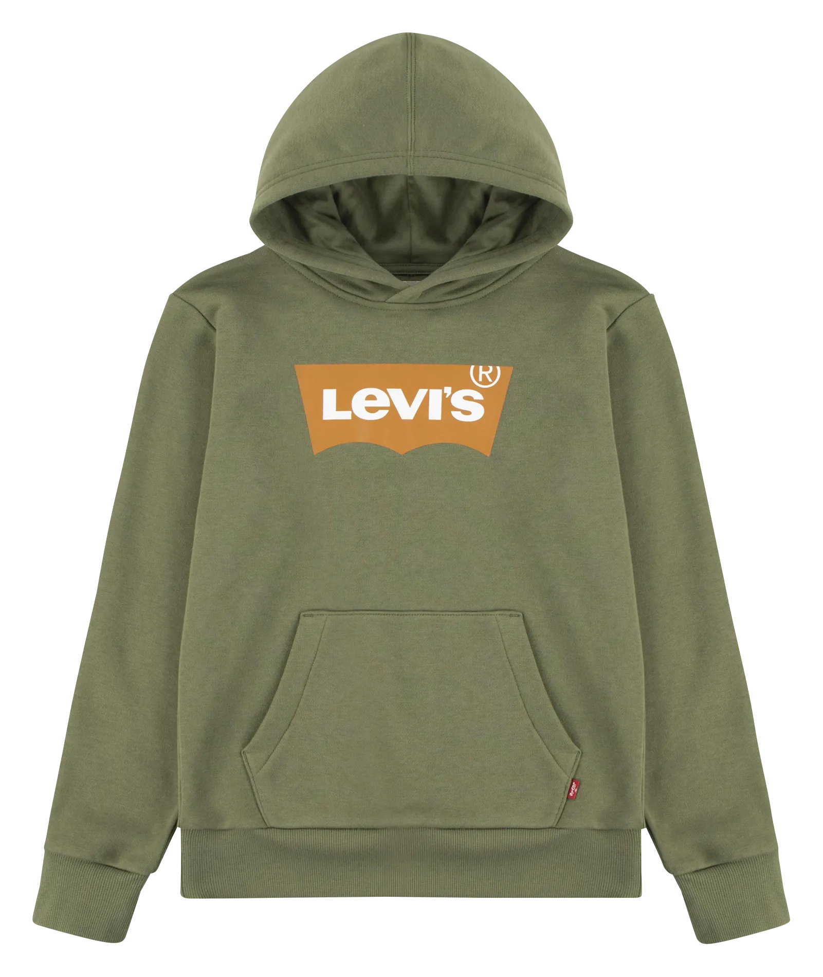 Sweat à capuche droit en coton mélangé Vert