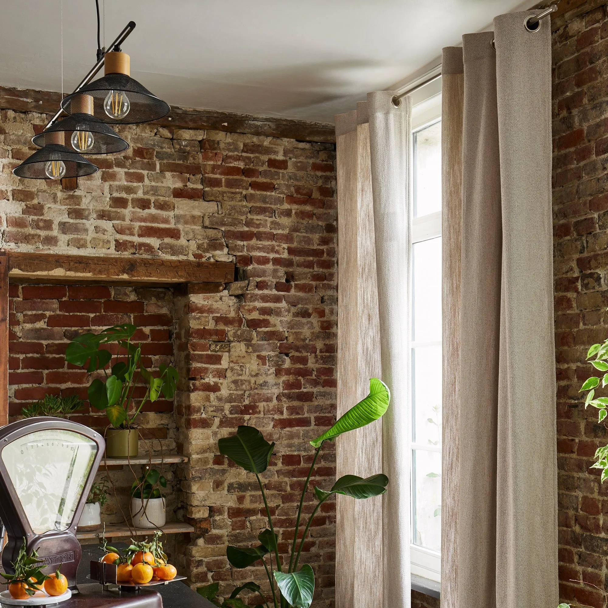 Rideau à oeillets Beige KORIE