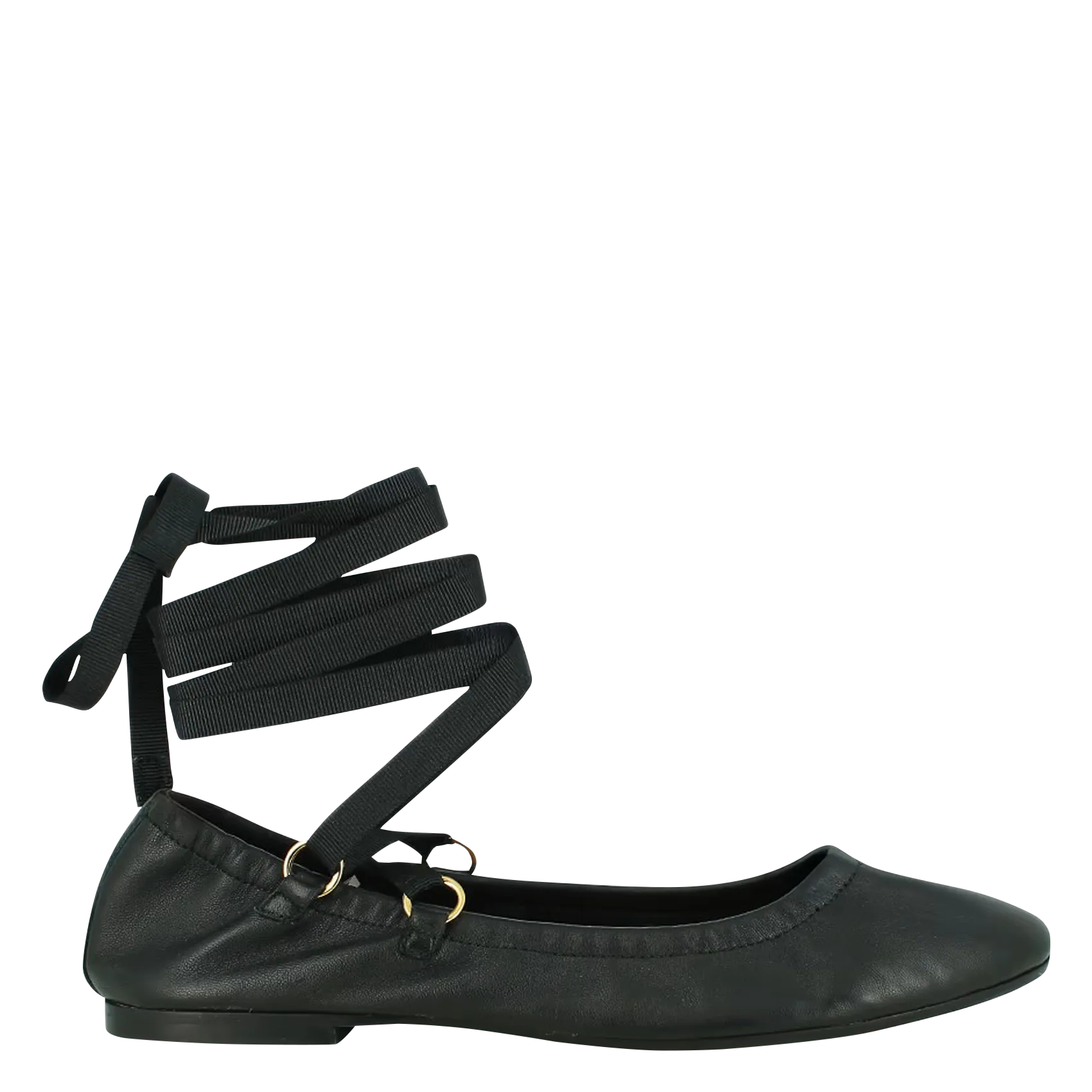 Ballerines en cuir Noir DESIREUSE