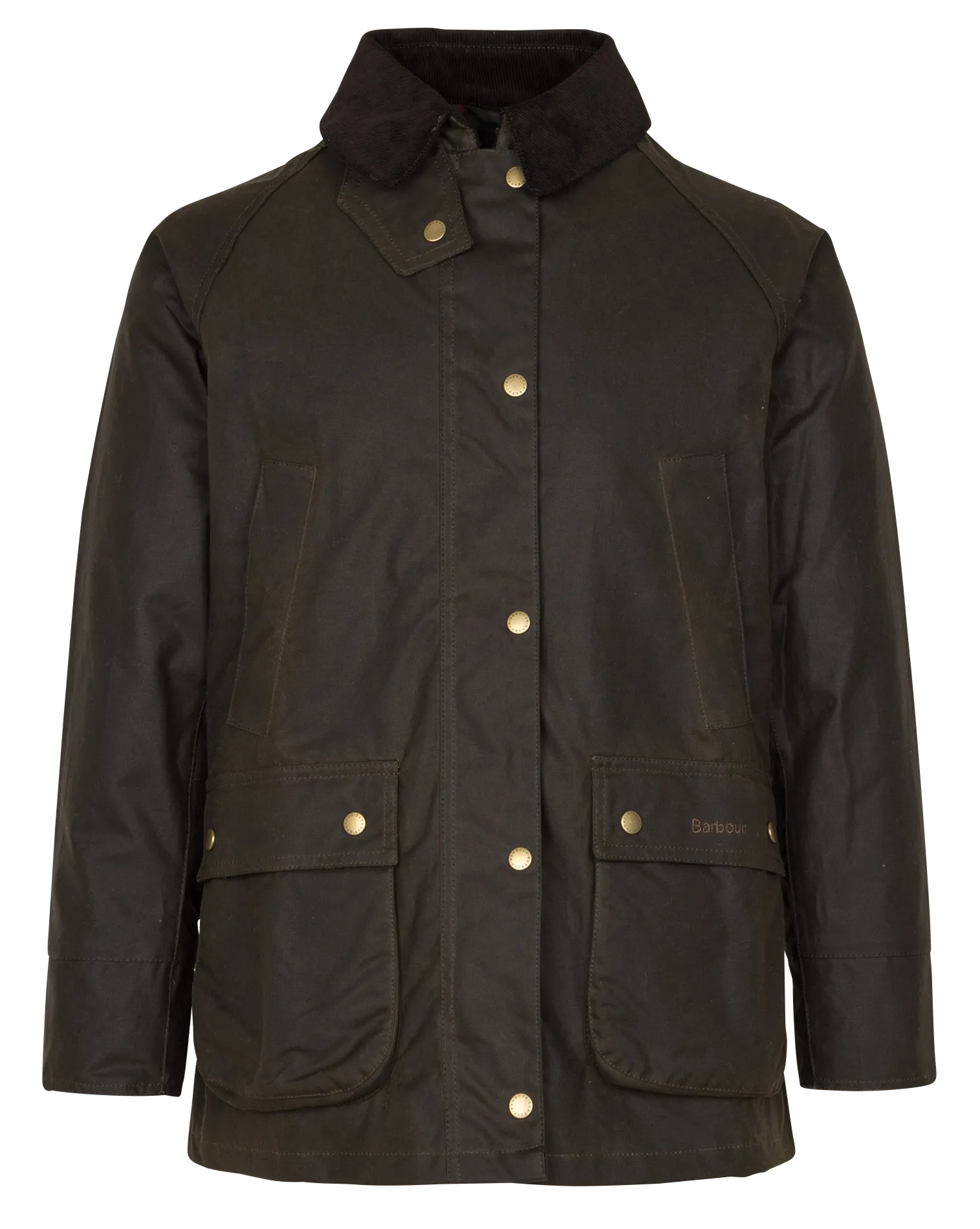 Parka col classique en coton Kaki ACORN