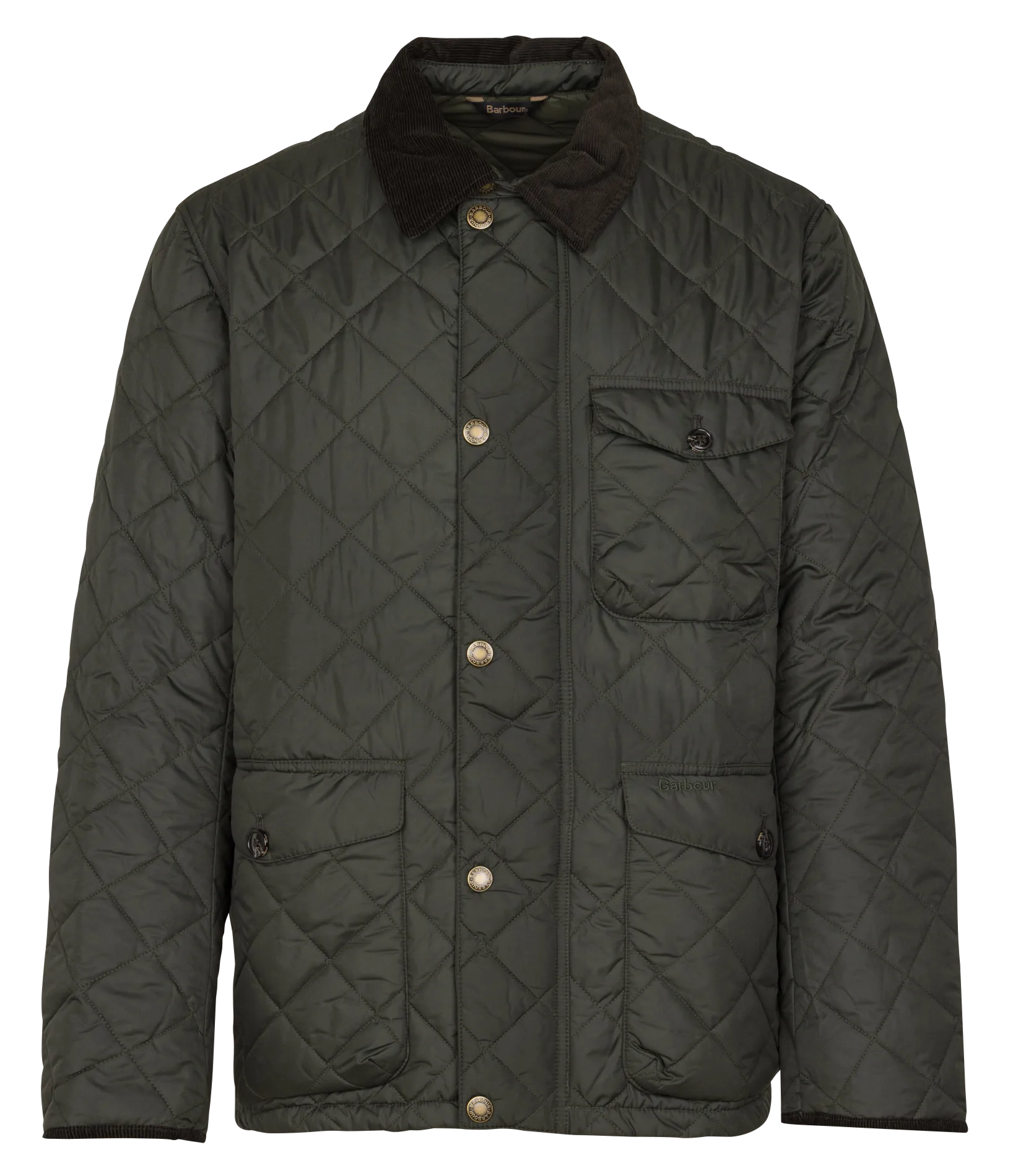 Veste droite matelassée Vert HORNBY