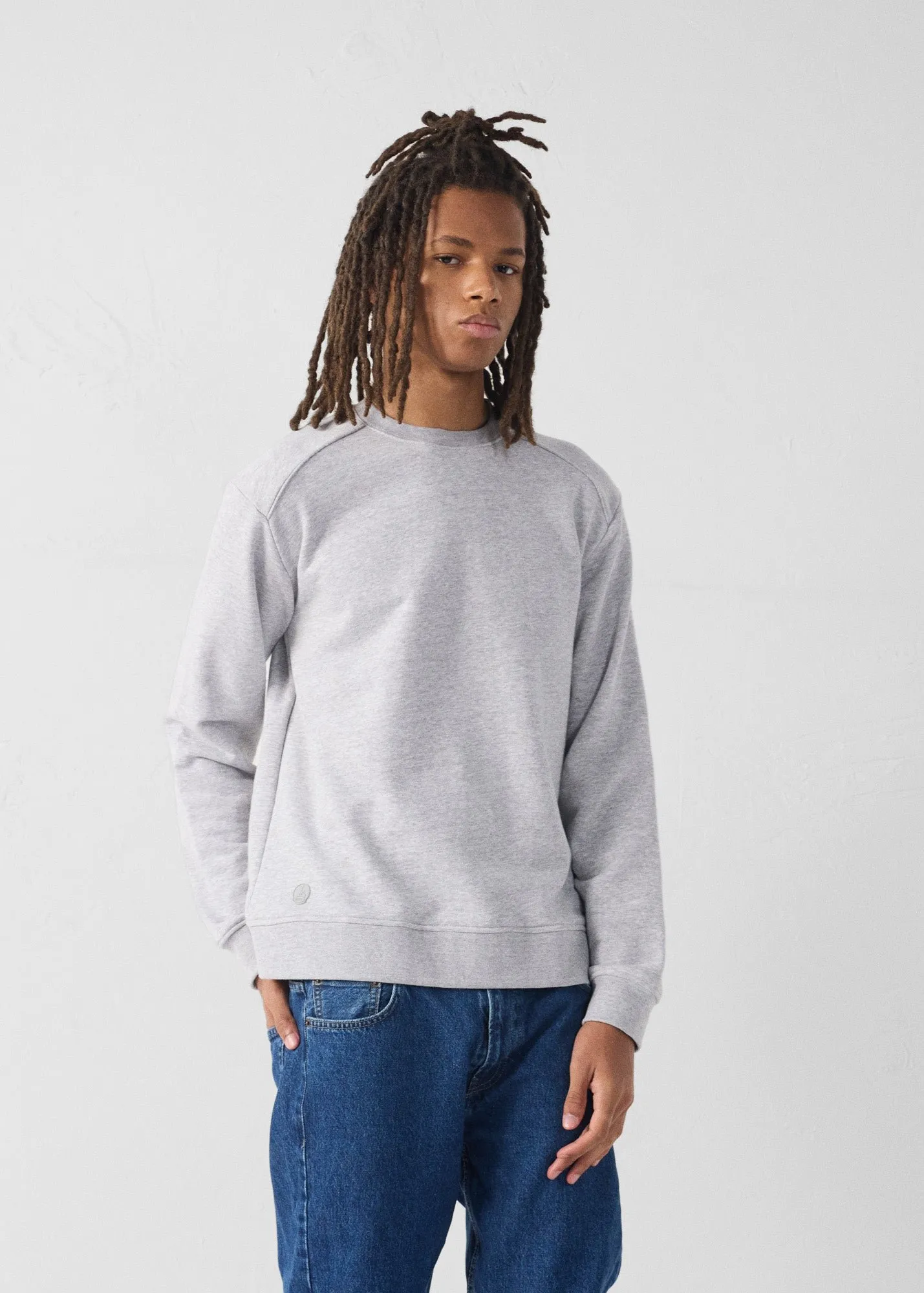 Sweatshirt robin Gris